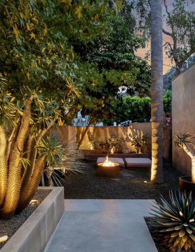 Modern outdoor patio with desert plants and mood lighting at dusk.